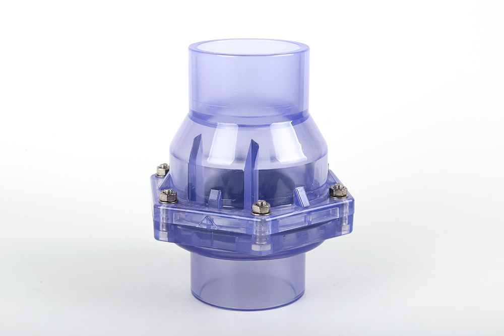 临西透明翻板式止回阀